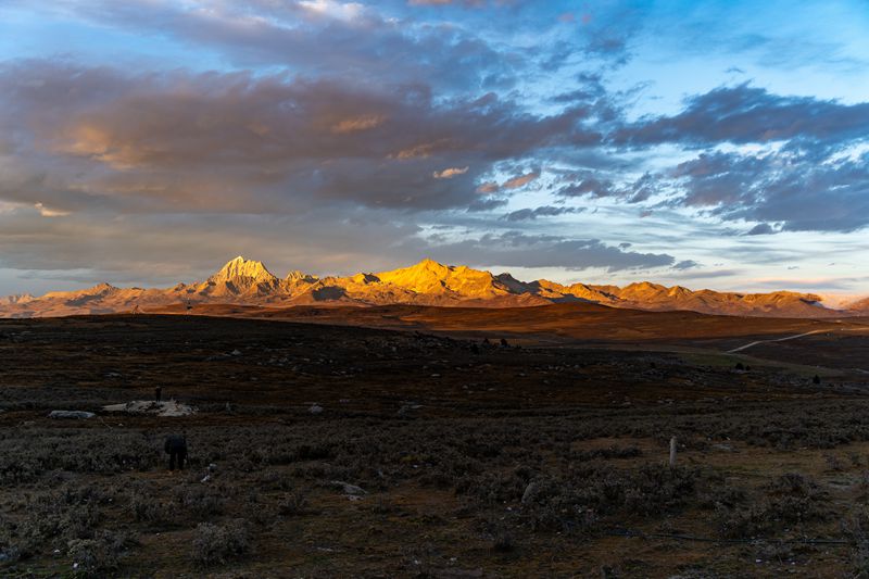 甲居藏寨跟团游，我劝你别太听话—一个甘孜老司机的掏心话-第1张图片-甘孜旅游